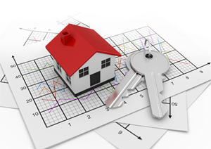 Property Development